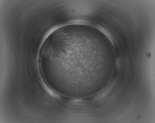 X0000101391482200807141121