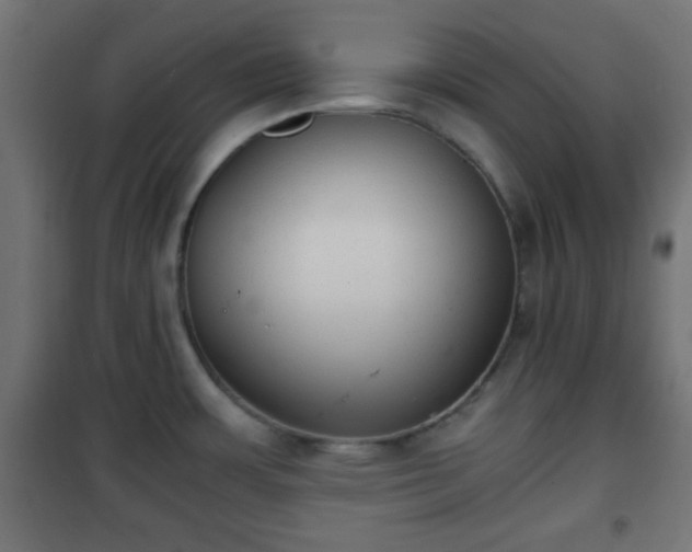 X0000101391483200807141121