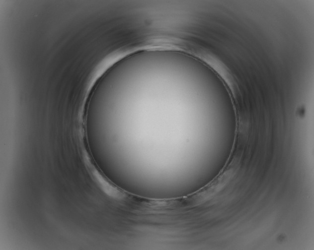 X0000101391485200807141121