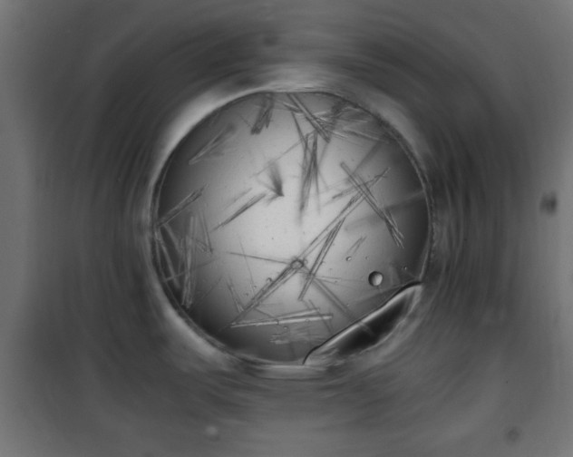 X0000101391487200807141121