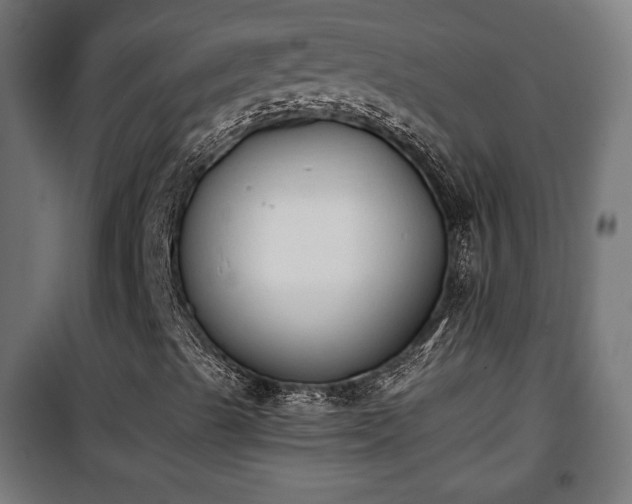 X0000101391489200807141120