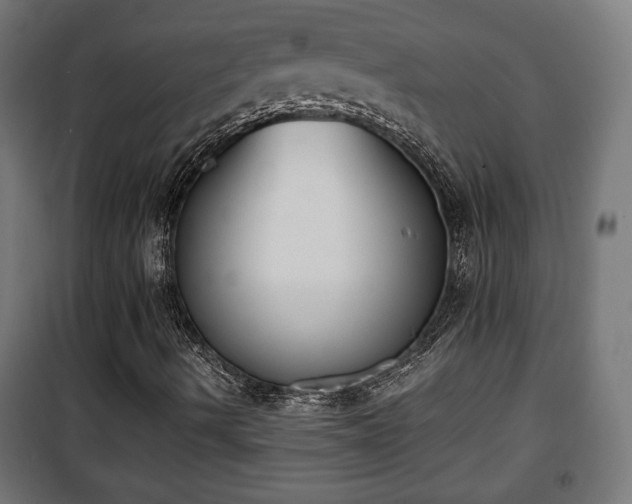 X0000101391490200807141120