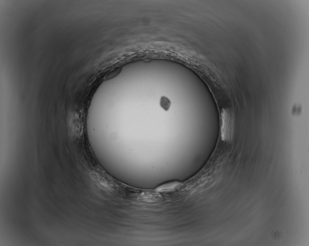 X0000101391491200807141120