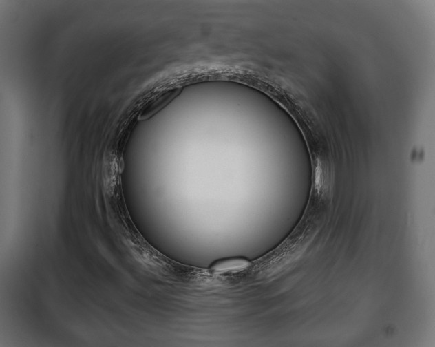 X0000101391492200807141120