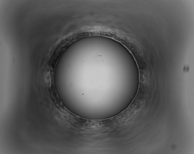 X0000101391493200807141120