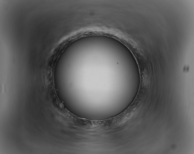 X0000101391494200807141120