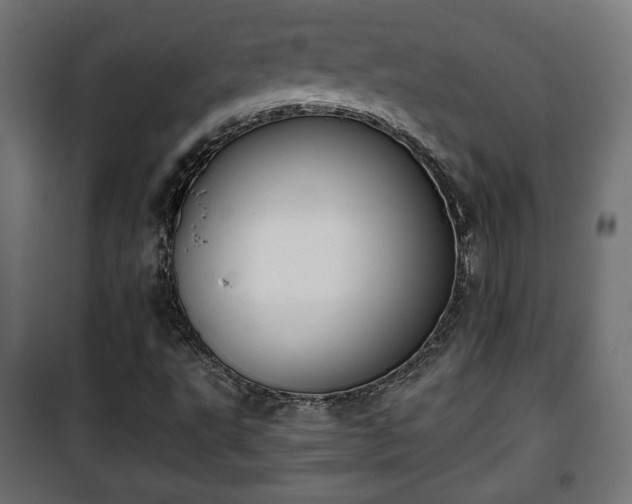 X0000101391495200807141120