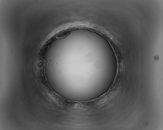 X0000101391496200807141120