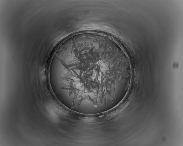 X0000101391497200807141120
