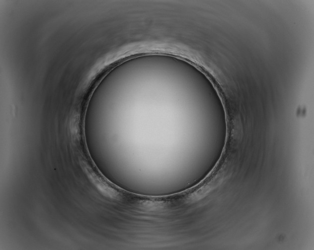 X0000101391499200807141120