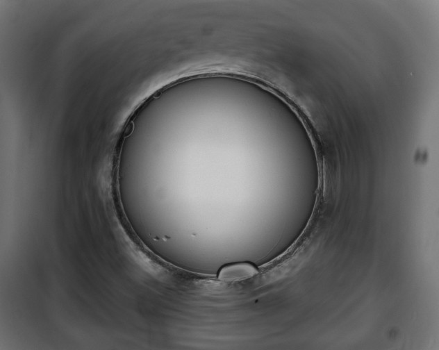 X0000101391500200807141120