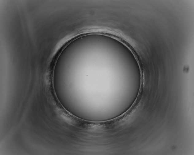 X0000101391501200807141120