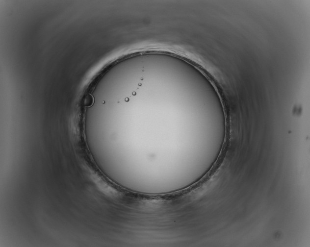 X0000101391502200807141120