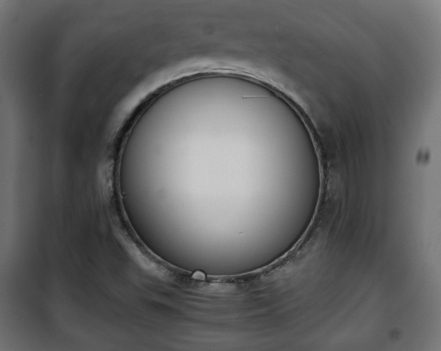 X0000101391503200807141120