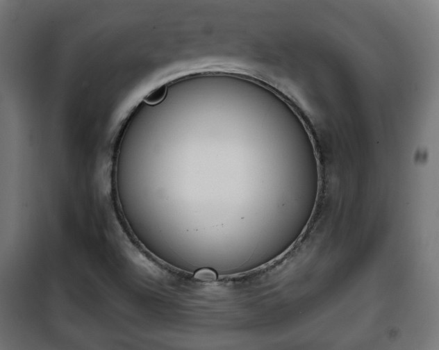 X0000101391504200807141120