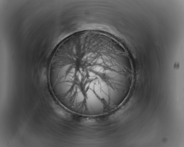 X0000101391505200807141120
