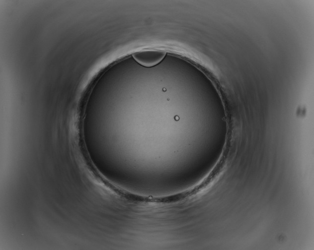 X0000101391506200807141120