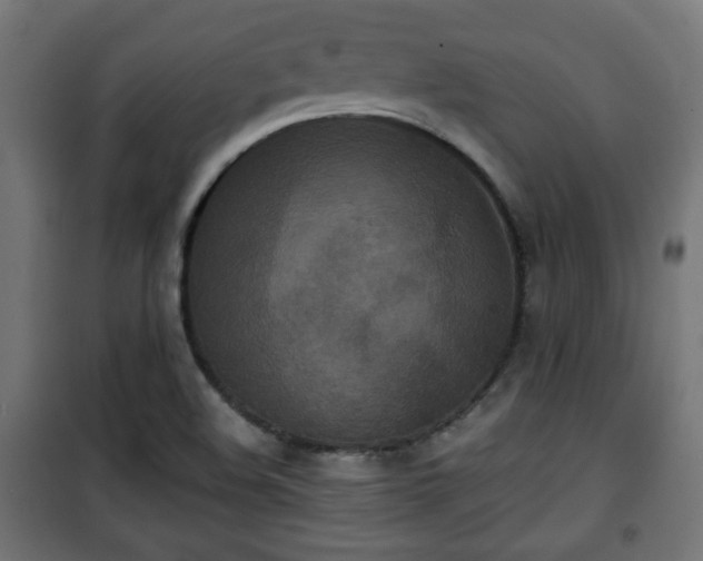 X0000101391508200807141120