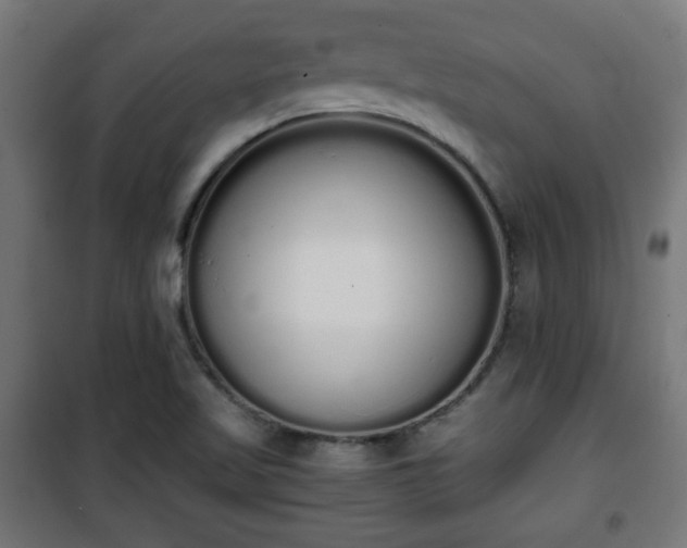 X0000101391509200807141120