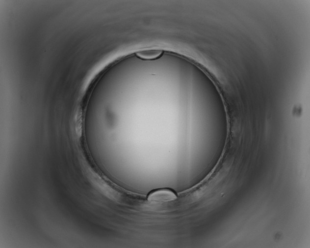 X0000101391510200807141120