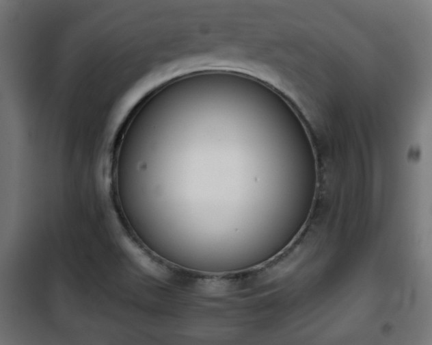 X0000101391511200807141120