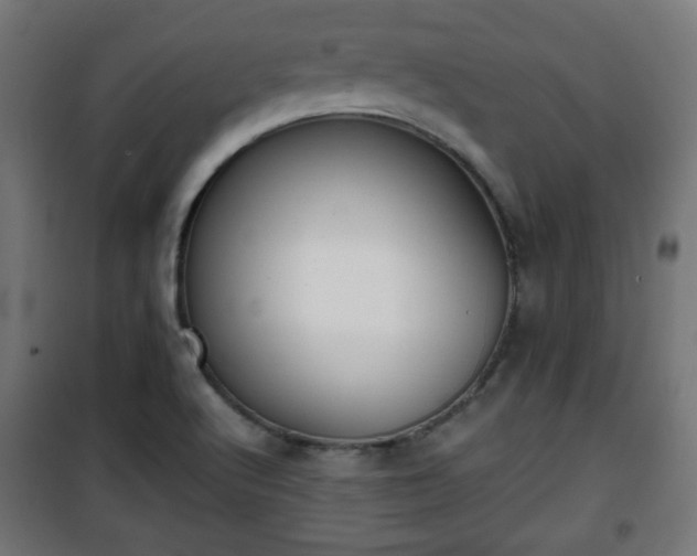 X0000101391512200807141121