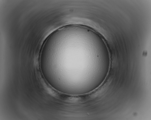 X0000101391513200807141121