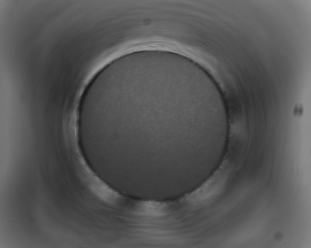 X0000101391514200807141121