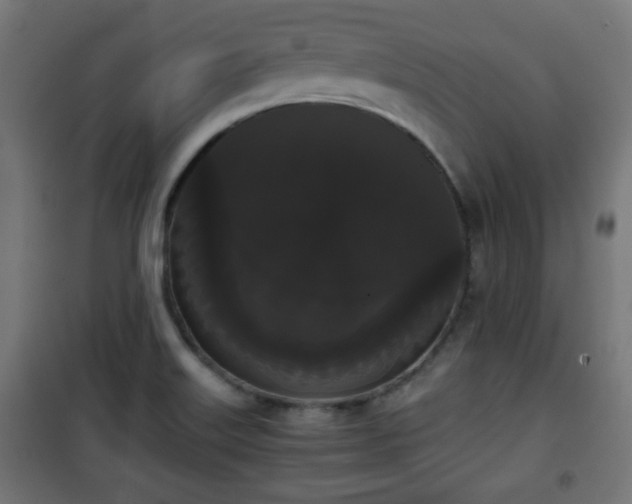 X0000101391515200807141121