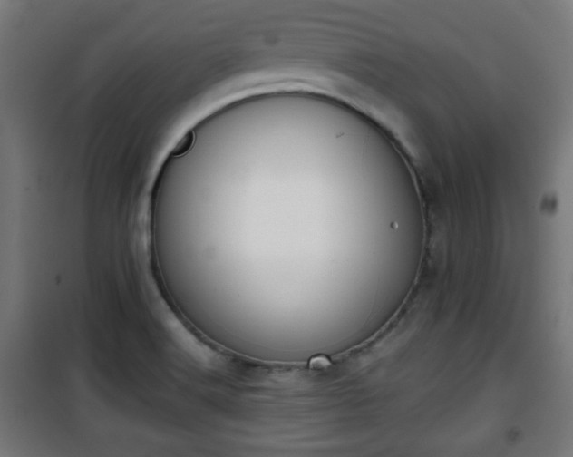 X0000101391516200807141121