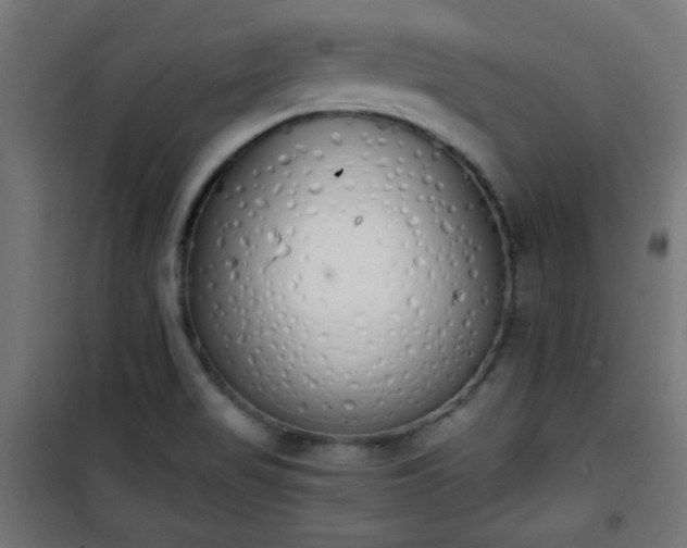 X0000101391517200807141121