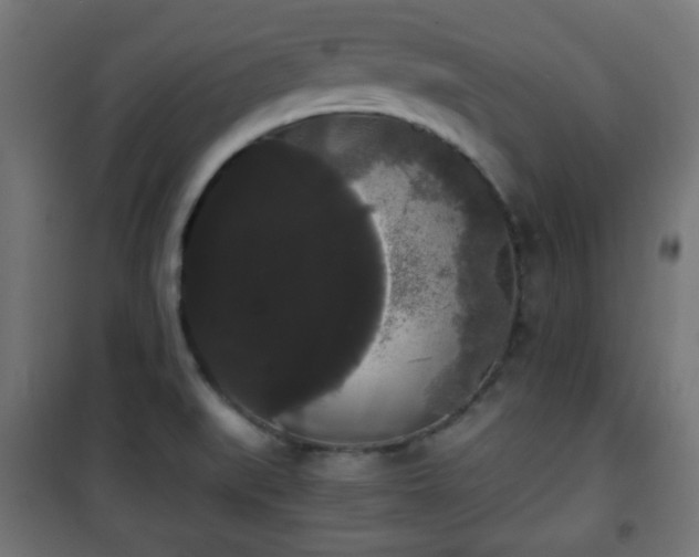 X0000101391519200807141121