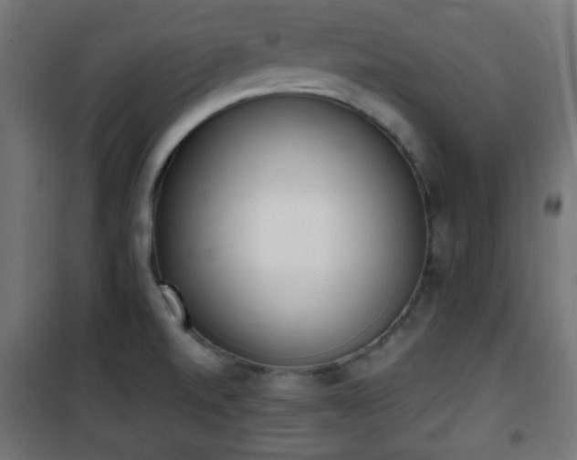 X0000101391520200807141121