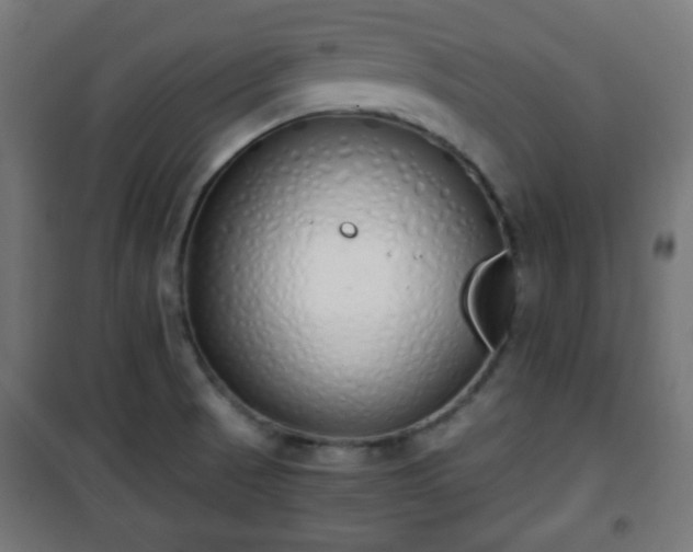 X0000101391521200807141121