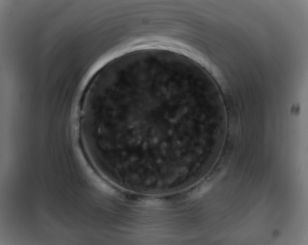 X0000101391522200807141121