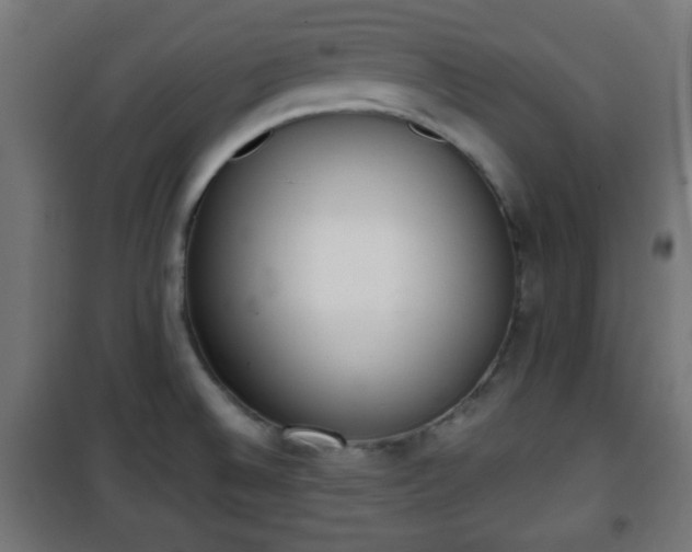 X0000101391524200807141121