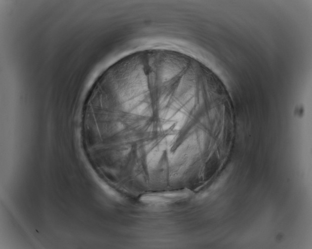 X0000101391525200807141121