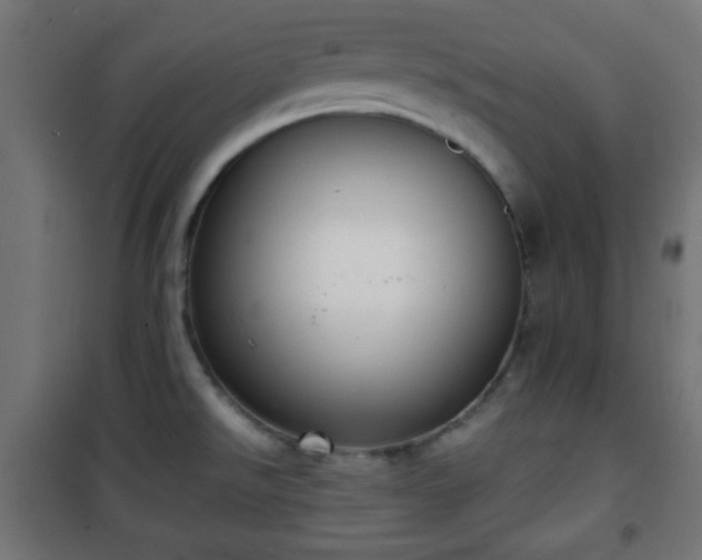 X0000101391526200807141121