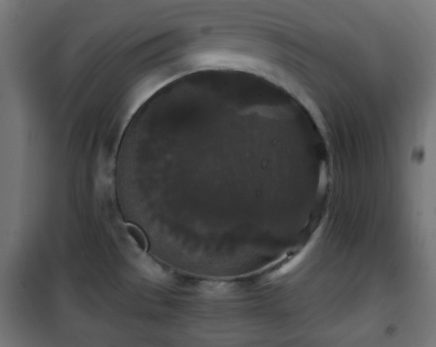 X0000101391529200807141121