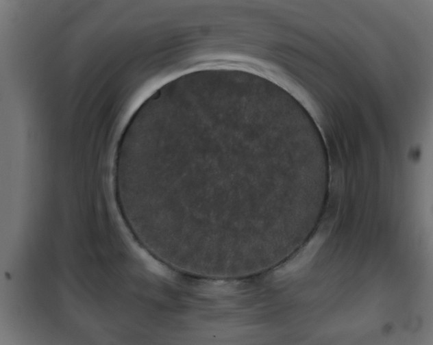 X0000101391533200807141121