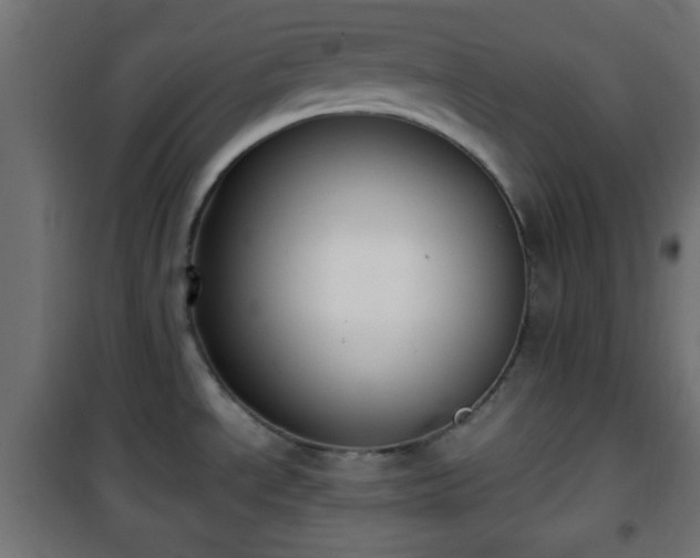 X0000101391534200807141121