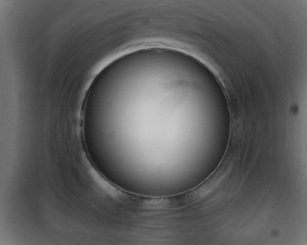 X0000101391535200807141121