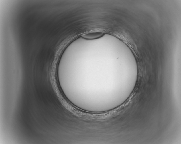 X0000101390001200807211022