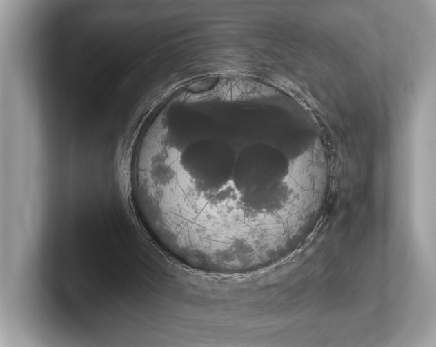 X0000101390002200807211022