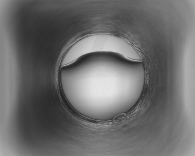 X0000101390004200807211022