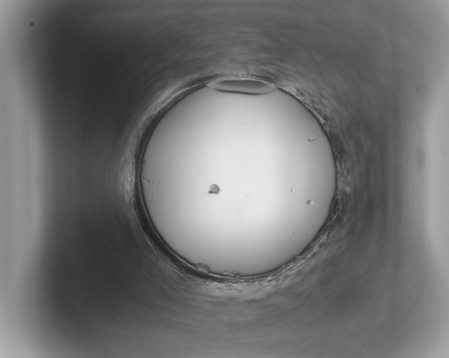 X0000101390005200807211022