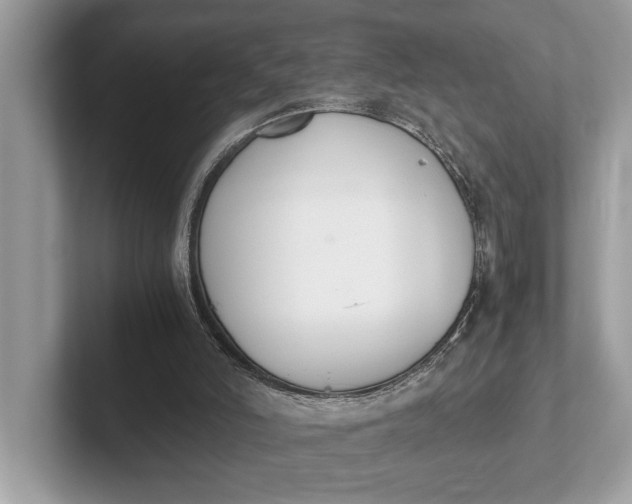 X0000101390006200807211022