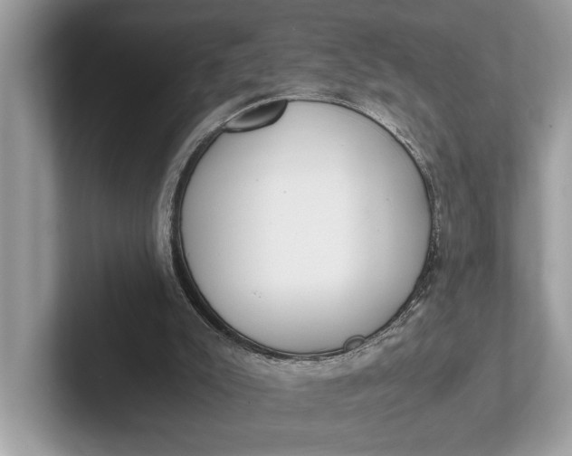 X0000101390007200807211022