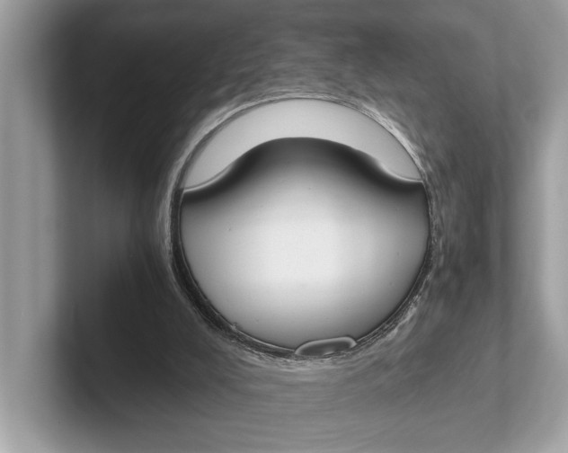 X0000101390008200807211022