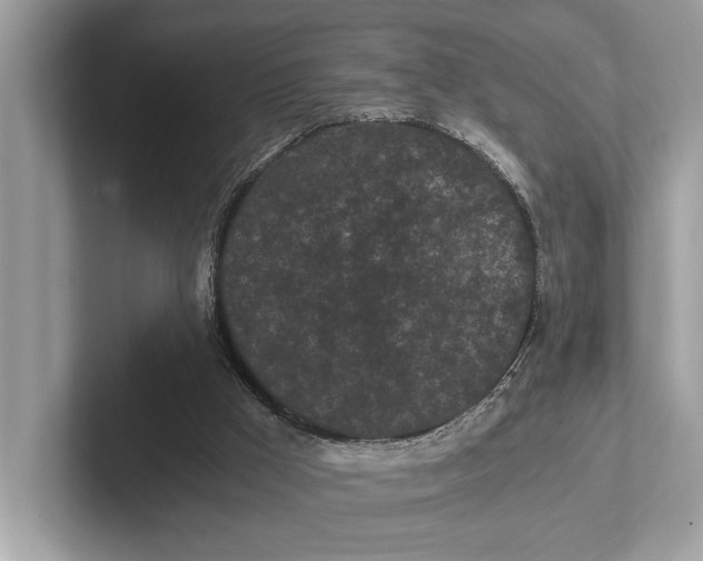 X0000101390009200807211022